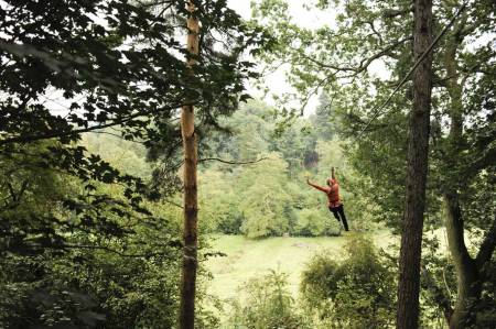 Go Ape ! Coed-y-Brenin