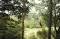 Go Ape ! Coed-y-Brenin