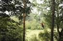 Go Ape ! Coed-y-Brenin