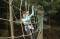 Go Ape ! Coed-y-Brenin