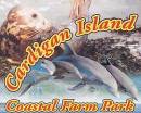Cardigan Island Coastal Farm Park