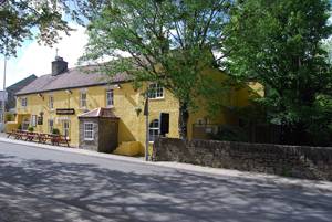 The Golden Lion