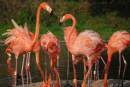 National Wetlands Centre Wales