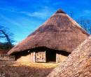 Castell Henllys Iron Age Fort