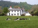 Dolhaidd Mansion Holiday Cottages