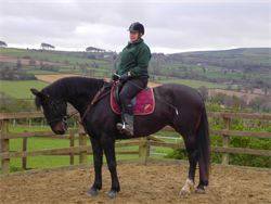 Shiral Equestrian Centre