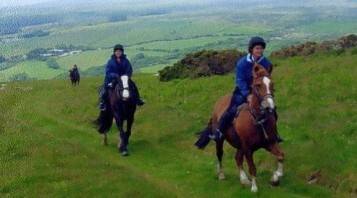 Crosswell Horse Agency � Velindre