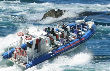 Thousand Islands Expeditions