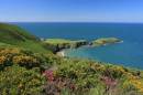Ceredigion Coast Path