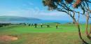 Cardigan Golf Club