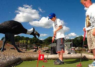 The Dinosaur Park